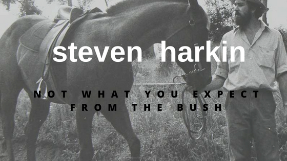 Who is Steven Harkin?